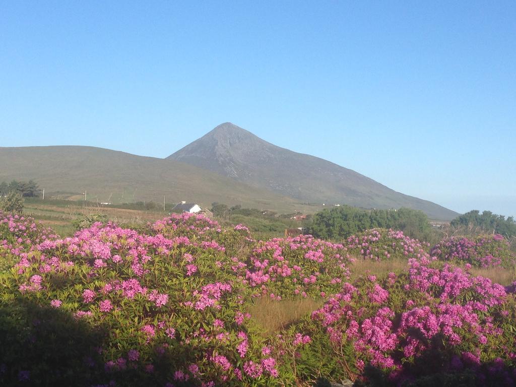 Achill Water'S Edge Bed and Breakfast Doogort Eksteriør billede